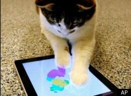 s-IPAD-ART-BY-CATS-large