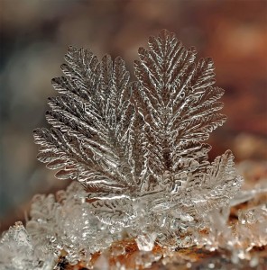 source: http://www.thisiscolossal.com/2012/12/remarkable-macro-photographs-of-ice-structures-and-snowflakes/