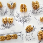 source: http://twentytwowords.com/from-popcorn-elephant-to-pencil-shaving-accordion-goofy-sketches-incorporate-everyday-objects-17-pics/