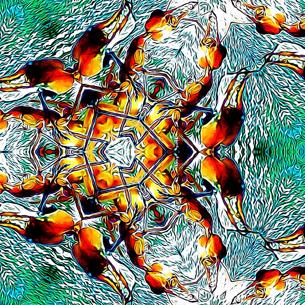 antkaleido1